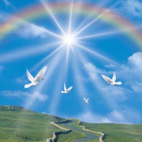 Love and Mercy
